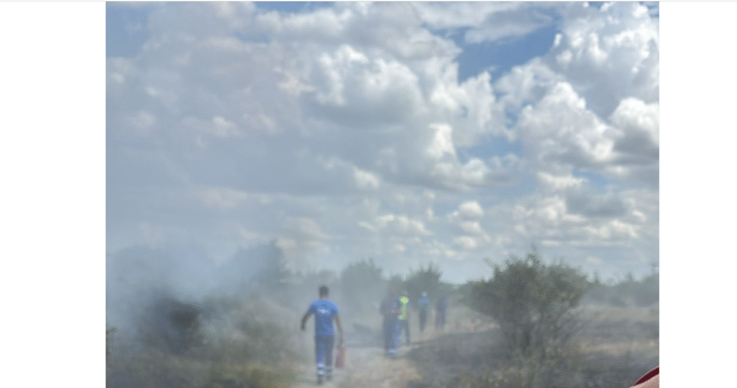 incendiu vegetatie centura est ploiesti