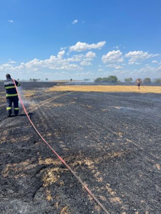 incendiu vegetație uscata