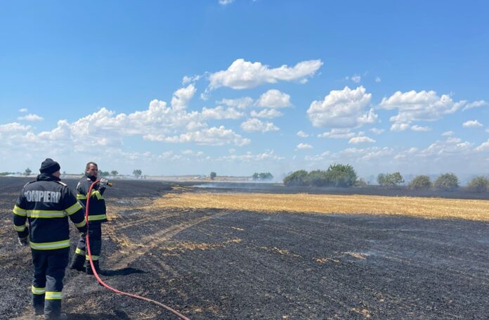 Incendiu vegetatie uscata