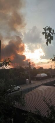 incendiu vegetatie fum ploiesti