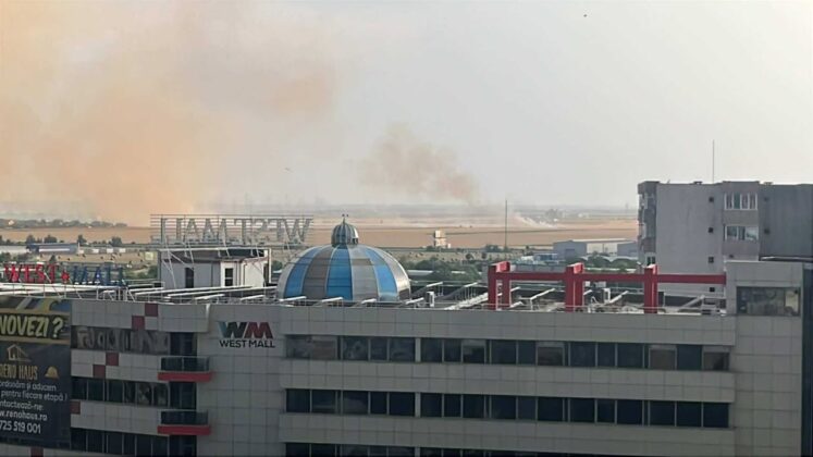 incendiu vegetatie fum ploiesti
