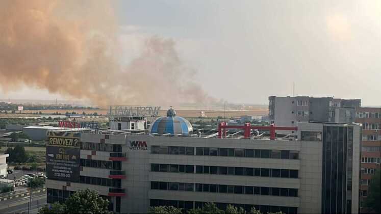 incendiu vegetatie fum ploiesti