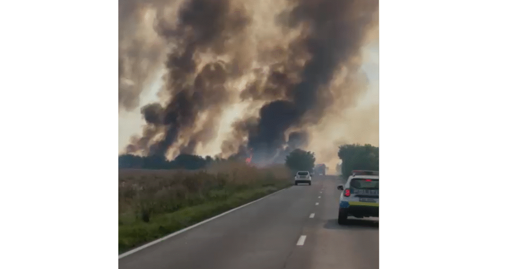incendiu vegetatie fantanele
