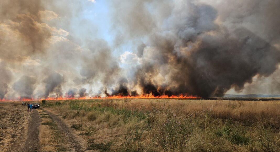 incendiu