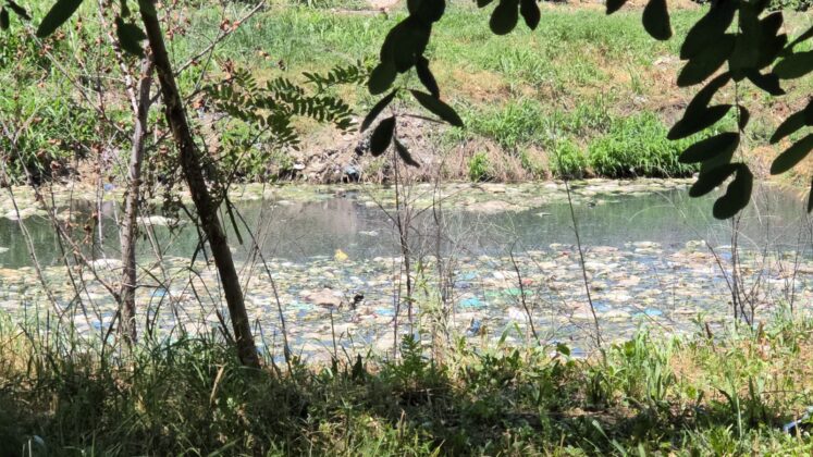 balta levigat statie tratare tmb ploiesti