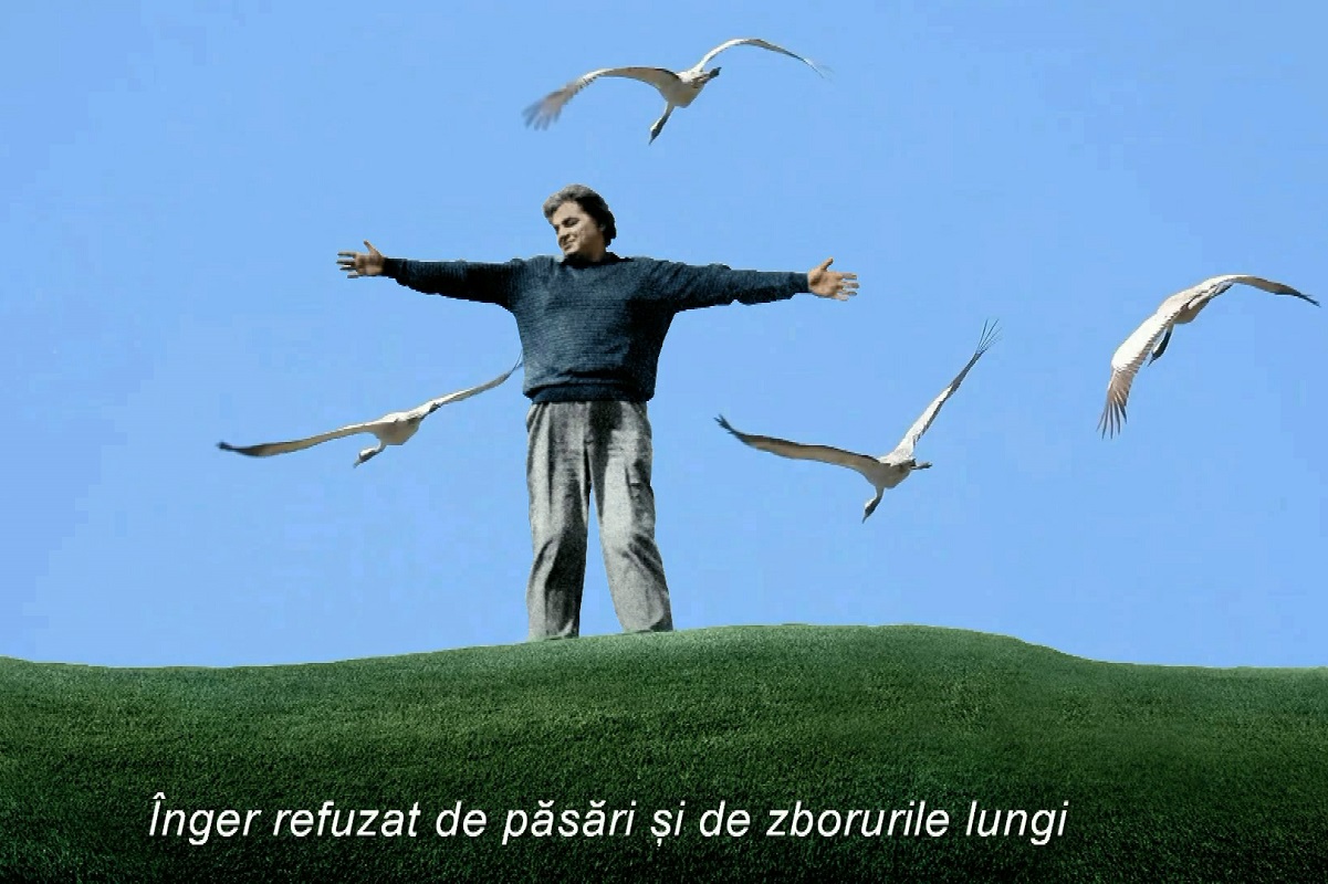nichita stanescu