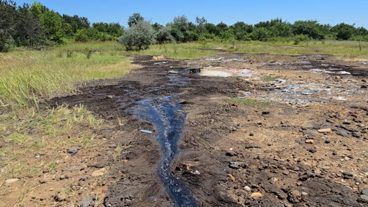Poluare petrol langa ploiesti vega