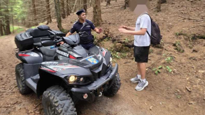 tanar fugarit urs postavaru