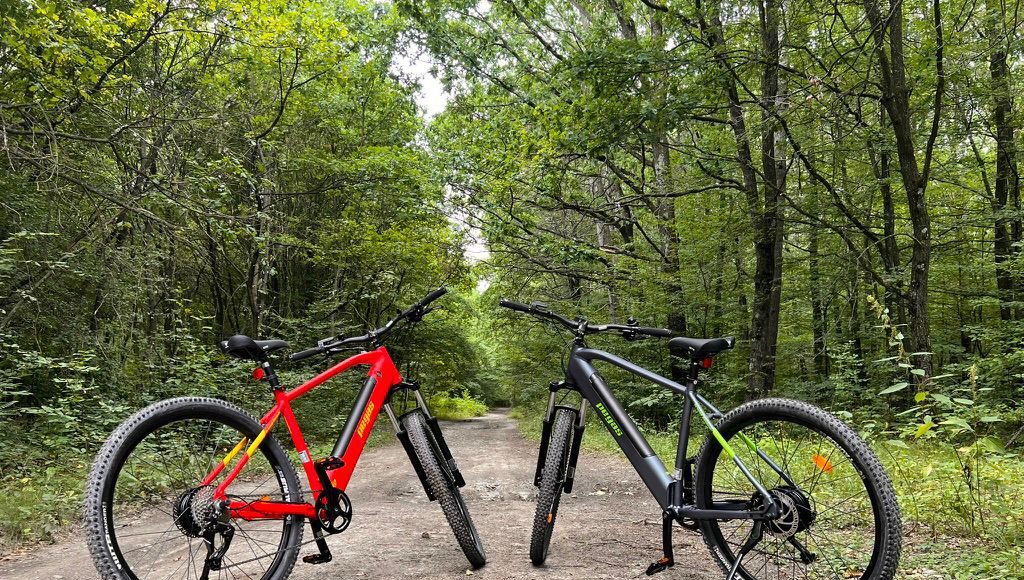biciclete