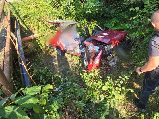 dacie rasturnata rapa breaza