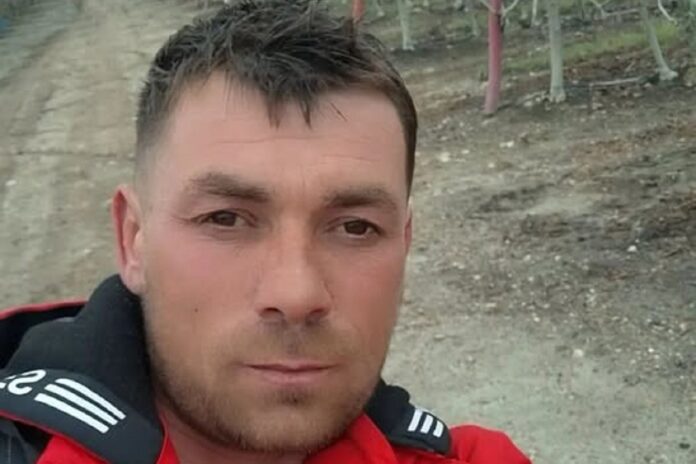 marius sulcu