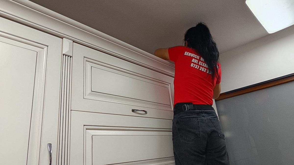 servicii curatenie avl cleaning