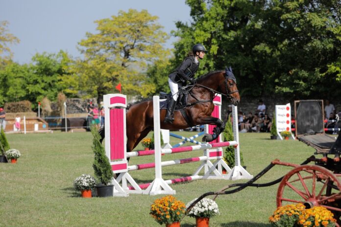 Karpatia Horse Show
