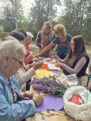 activitati seniori ploiesti