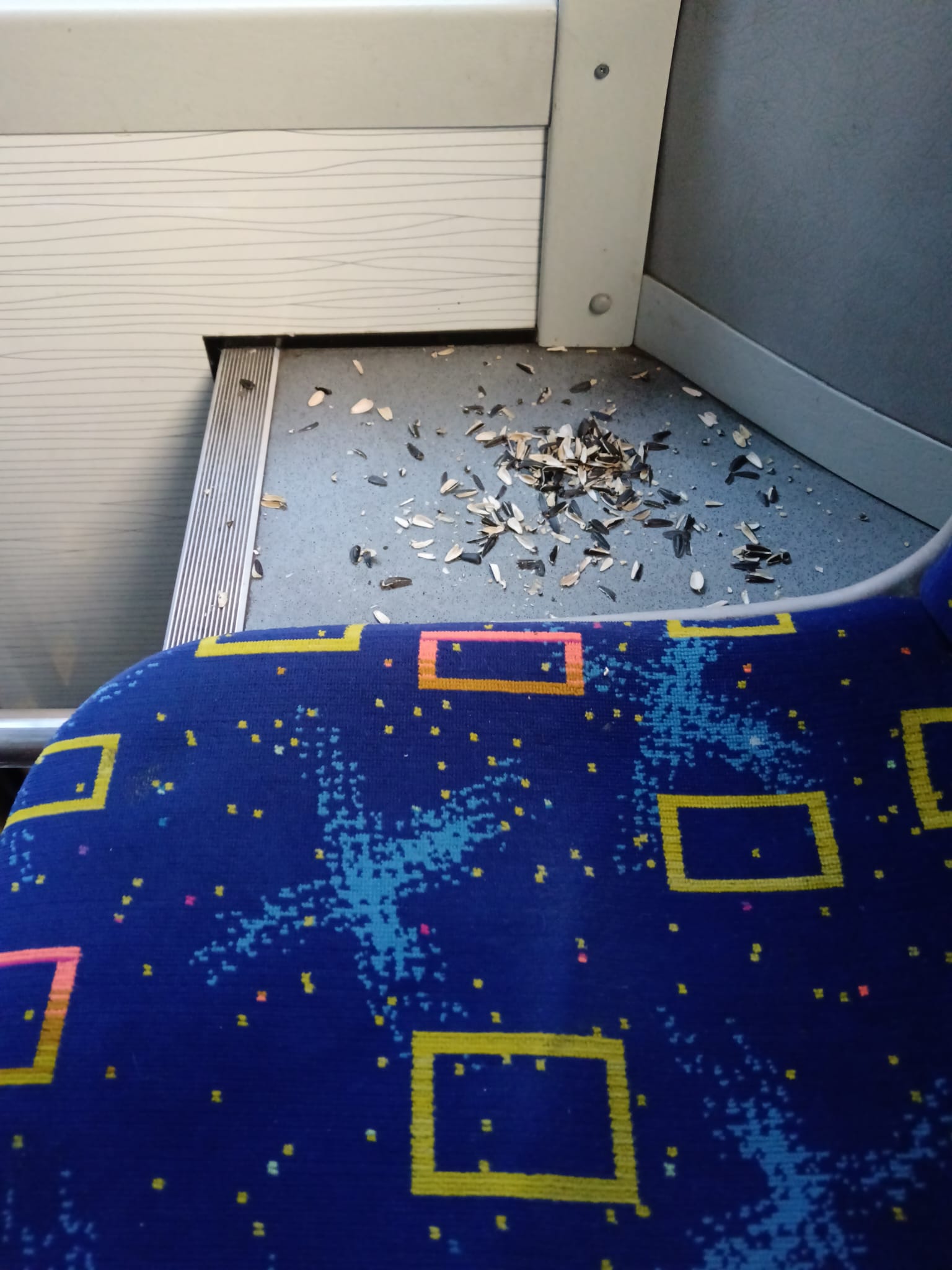 coji seminte autobuz