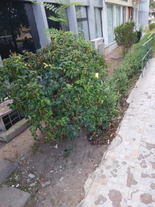 big sud ploiesti