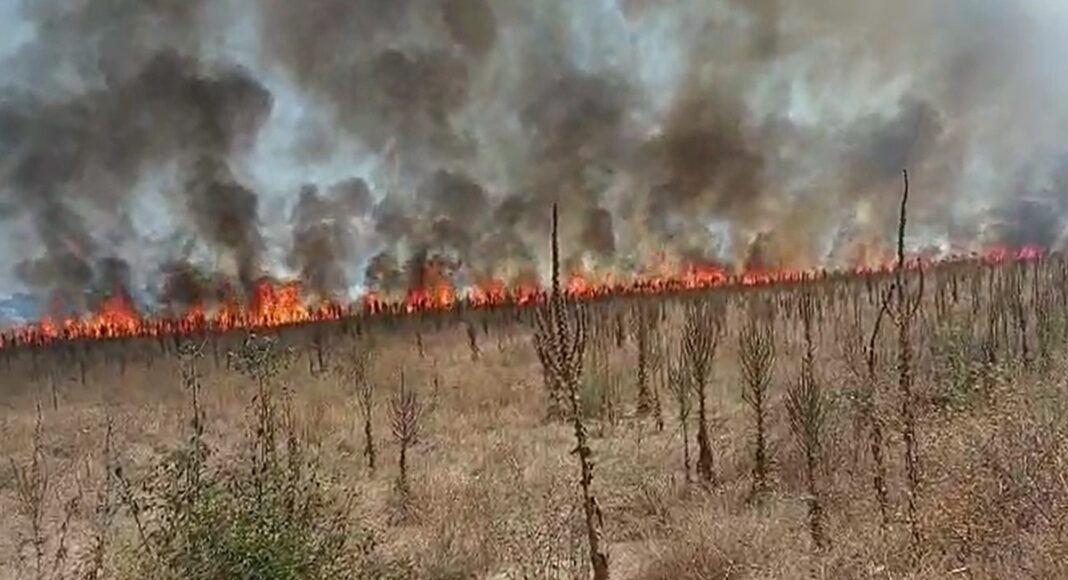 incendiu Valea Călugărească