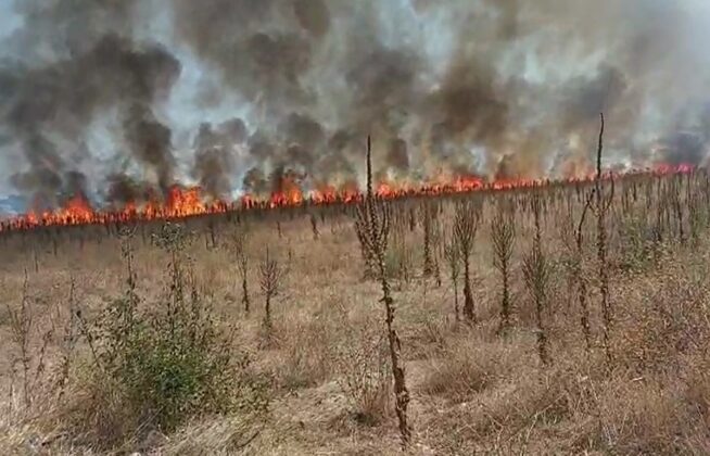 incendiu Valea Călugărească