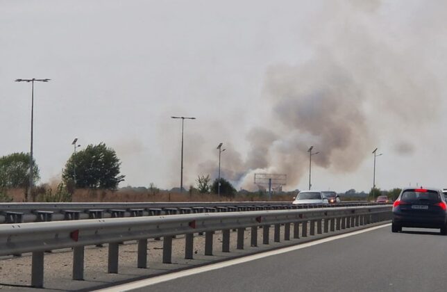 incendiu vegetatie