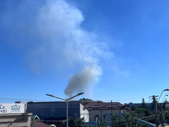 incendiu vegetatie ploiesti degajari fum tanarul muncitor
