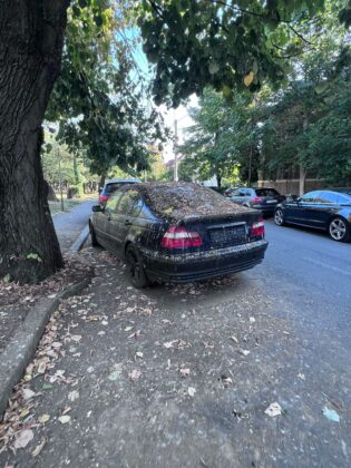 masini abandonate in ploiesti