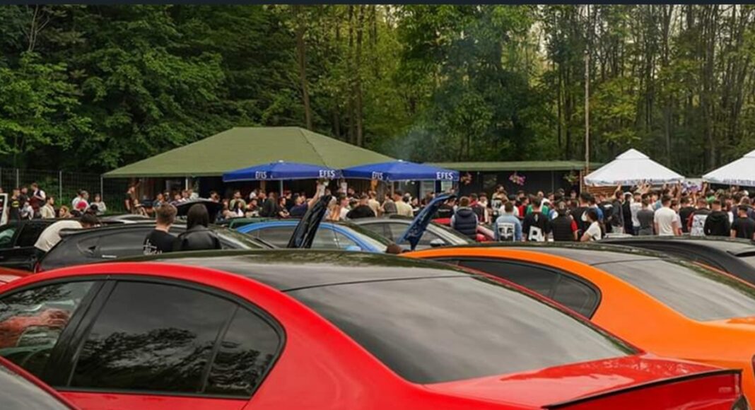 Plavia show auto