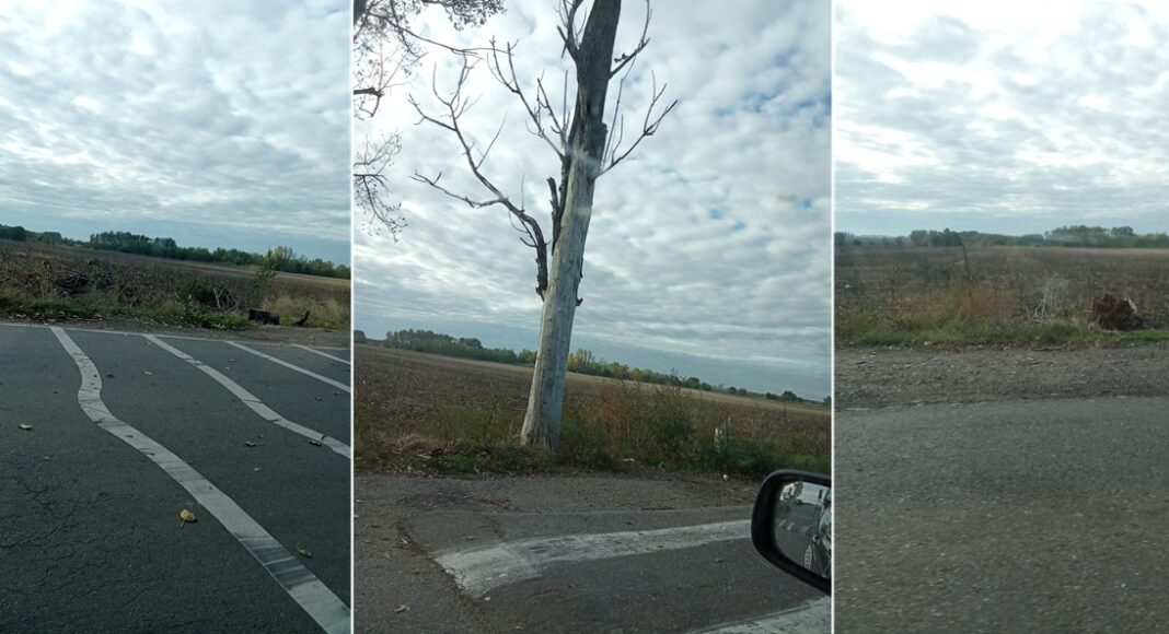 dn1d ciorani