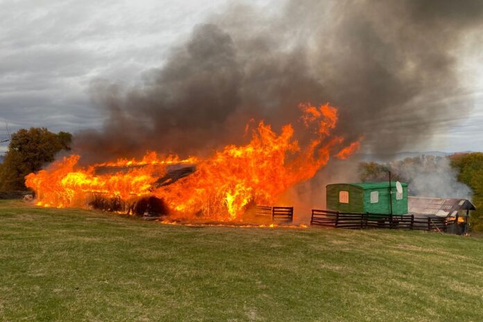 incendiu ferma baicoi