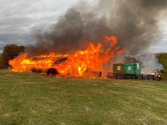 incendiu ferma baicoi