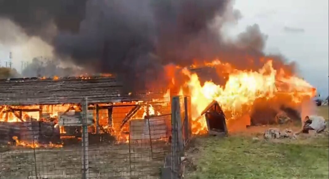 barbat mort incendiu baicoi
