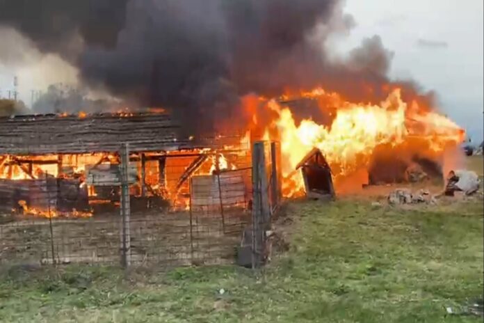 barbat mort incendiu baicoi