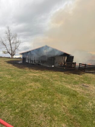 incendiu ferma baicoi