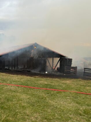 incendiu ferma baicoi