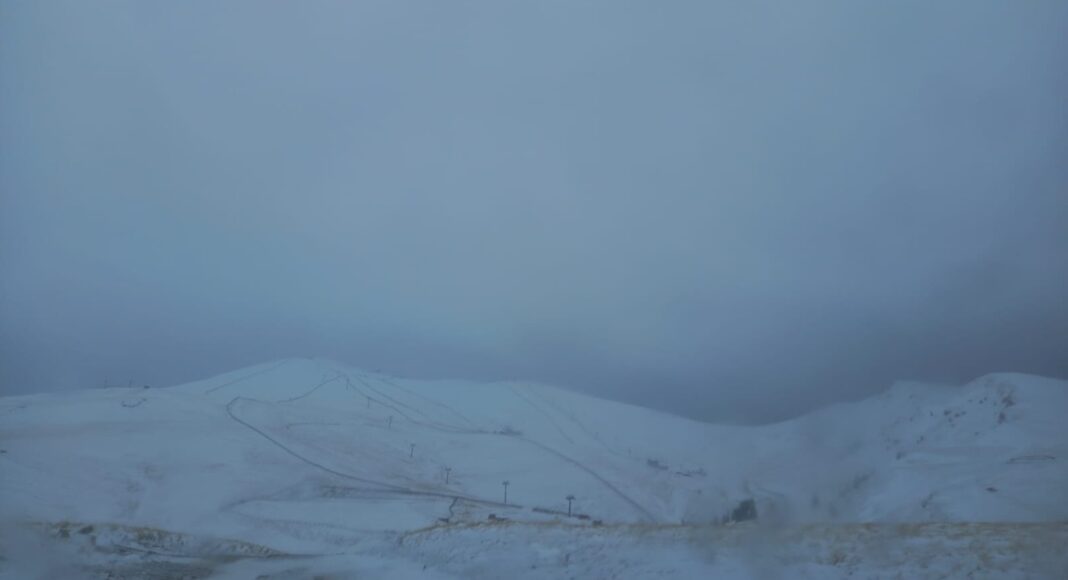 vreme munte