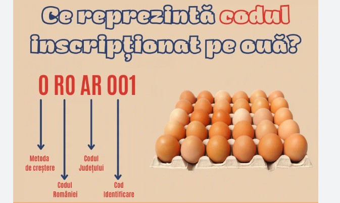 oua coduri