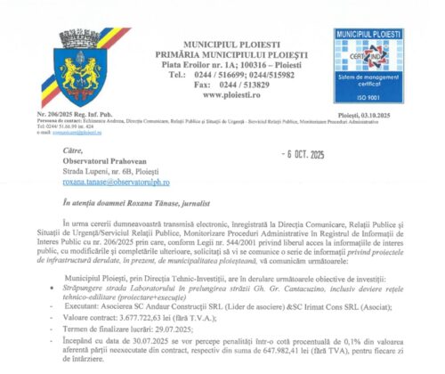 raspun primarie proiecte