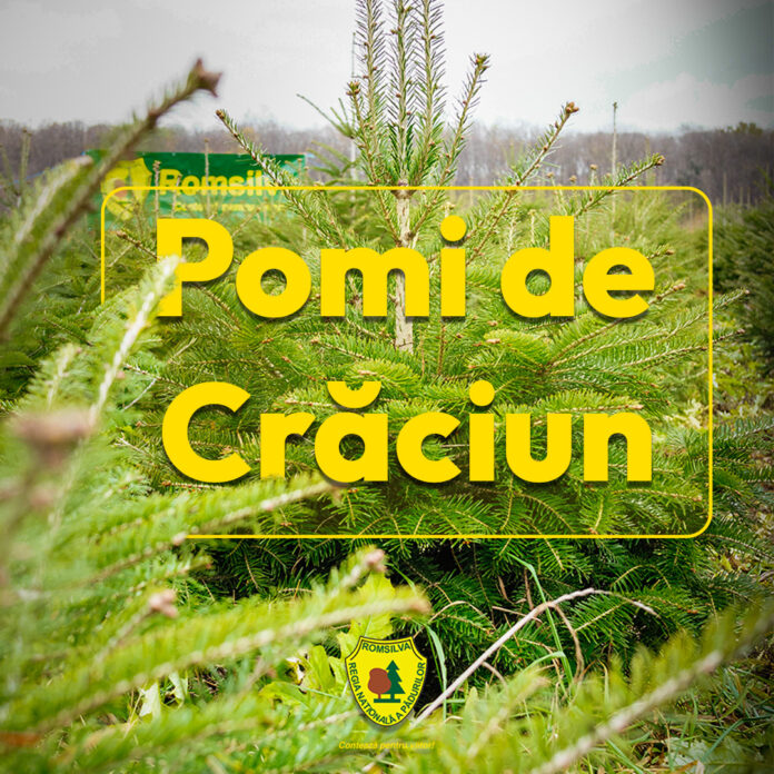 POMI_CRACIUN_ROMSILVA