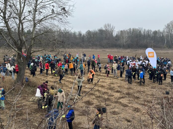 padure noua lipanesti