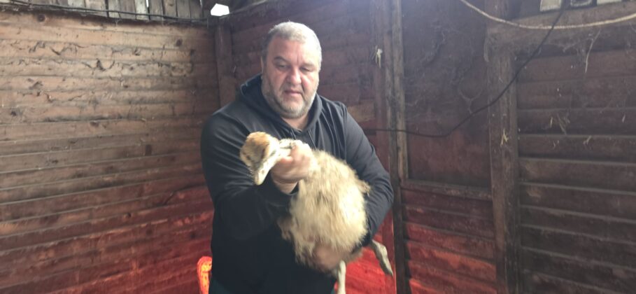 ferma struti prahova targsoru vechi