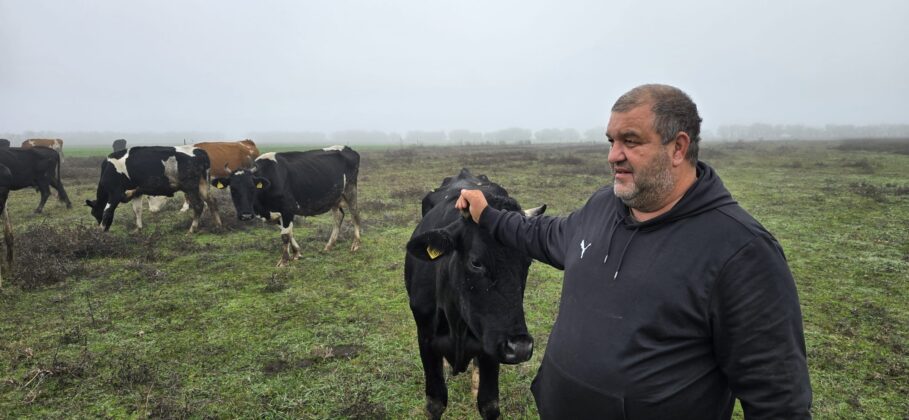 ferma struti prahova targsoru vechi