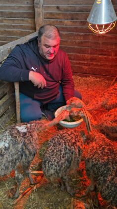 ferma struti prahova targsoru vechi