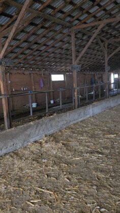 ferma struti prahova targsoru vechi