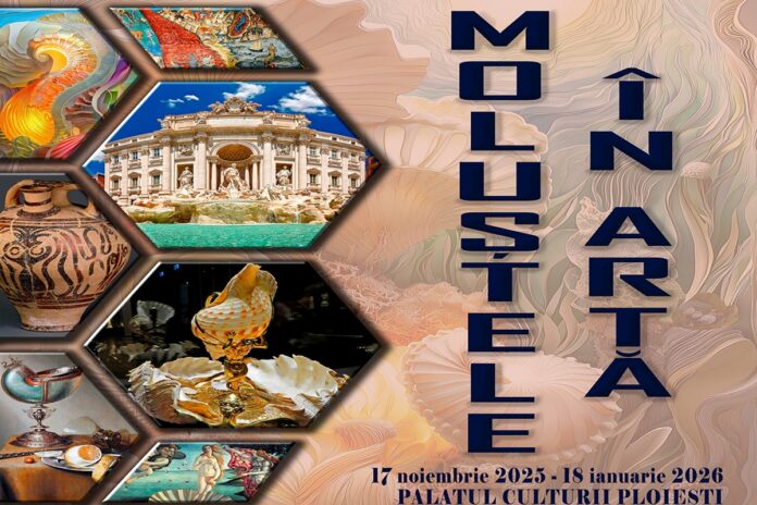 expozitie moluste prahova