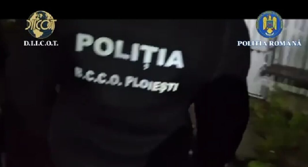 perchezitii diicot bcco