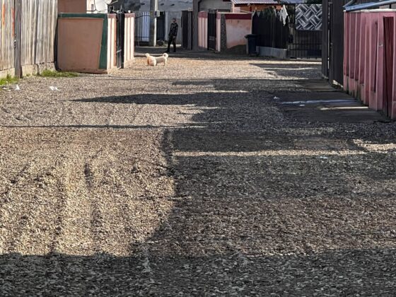 strada palanca mimiu acoperita cu pietris de localnici