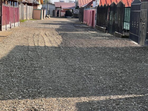 strada palanca mimiu acoperita cu pietris de localnici