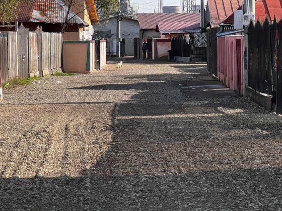 strada palanca mimiu acoperita cu pietris de localnici