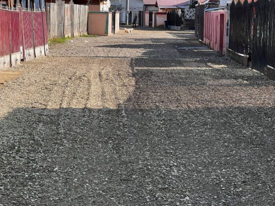 strada palanca mimiu acoperita cu pietris de localnici