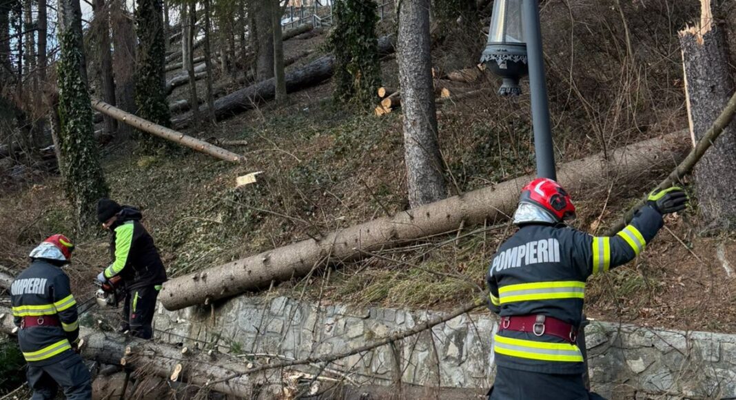 ISU interventii