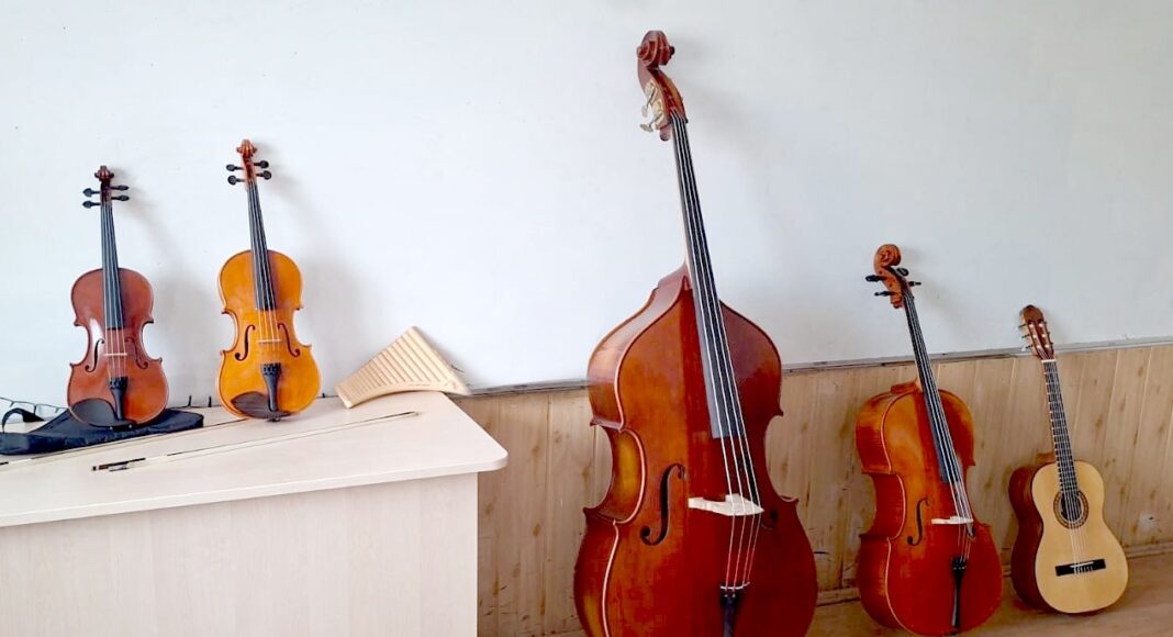 instrumente muzicale